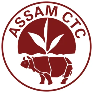 logo1-1-300x300-1.webp
