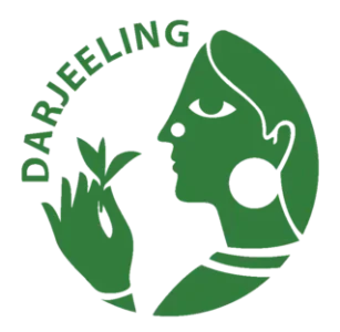 logo3-307x300-1.webp